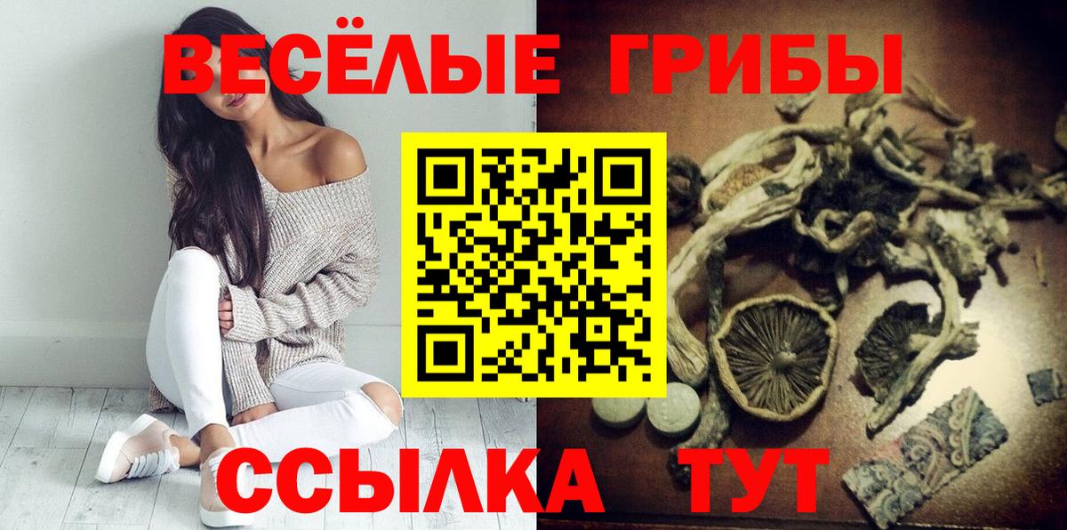 Псилоцибиновые грибы мухоморы Кашира