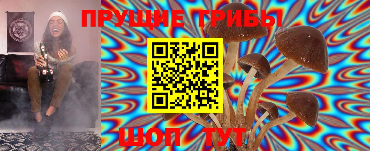 Кашира  что такое наркотик  Вход с VPN  Псилоцибиновые грибы MAGIC MUSHROOMS 